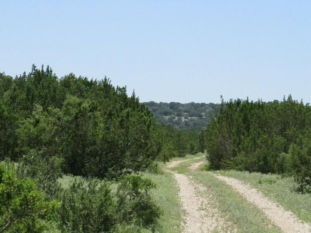 203 acres in Sutton County, Texas