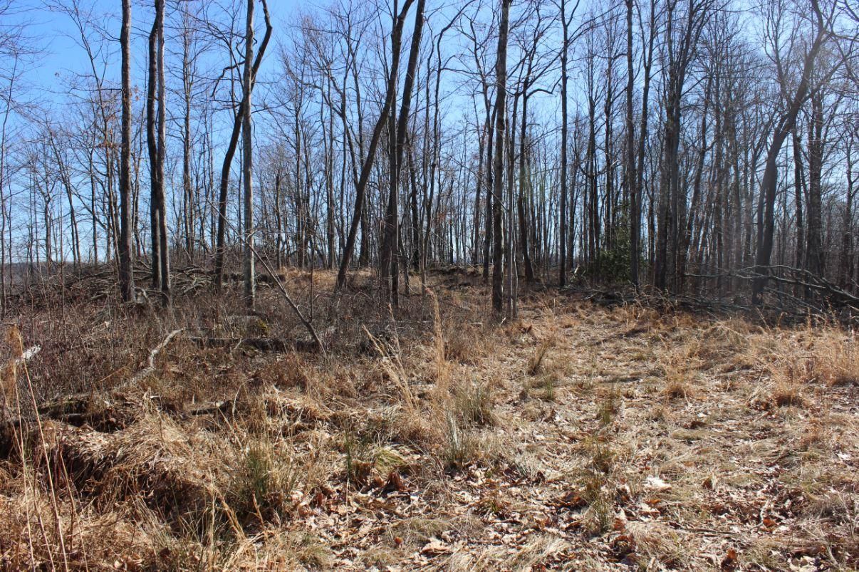 57 acres in Nicholas County, West Virginia