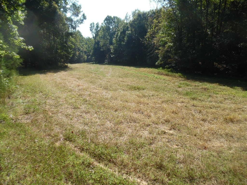 40 acres in Panola County, Mississippi