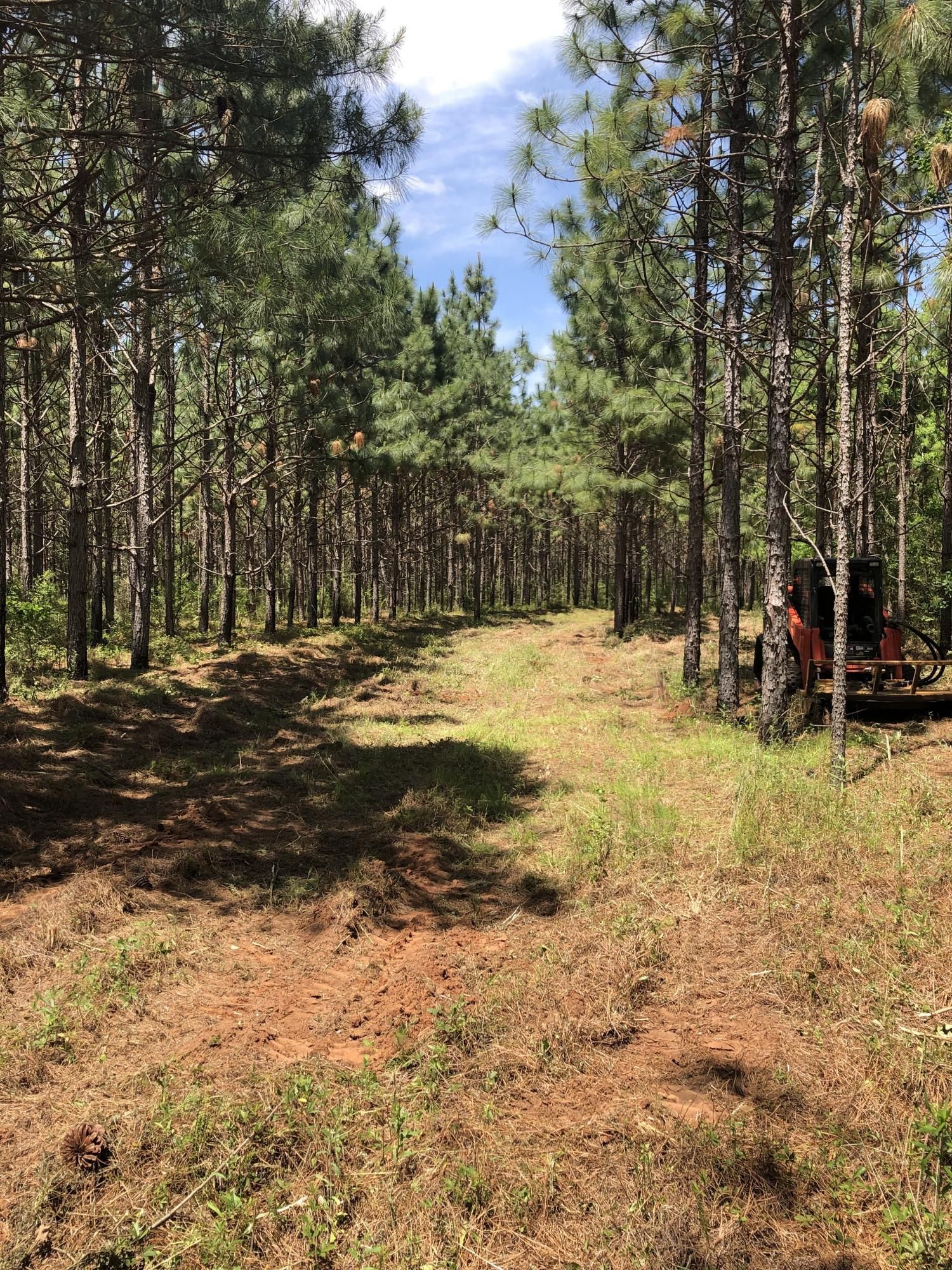 6 acres in Coffee County, Alabama