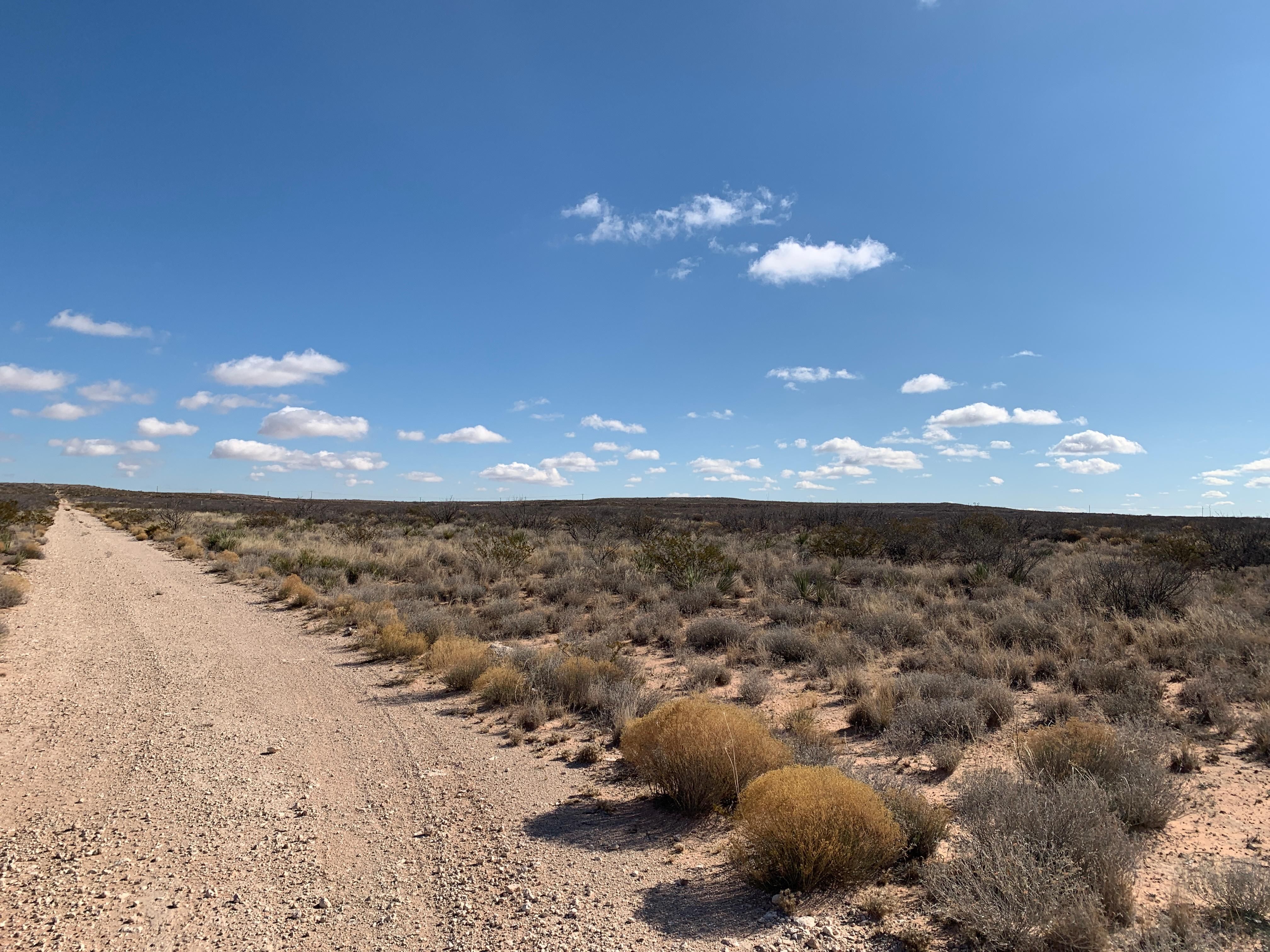 20 acres in Ward County, Texas