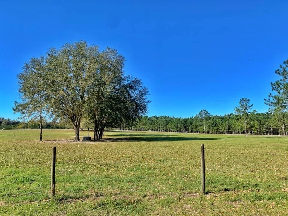 10 acres in Gilchrist County, Florida