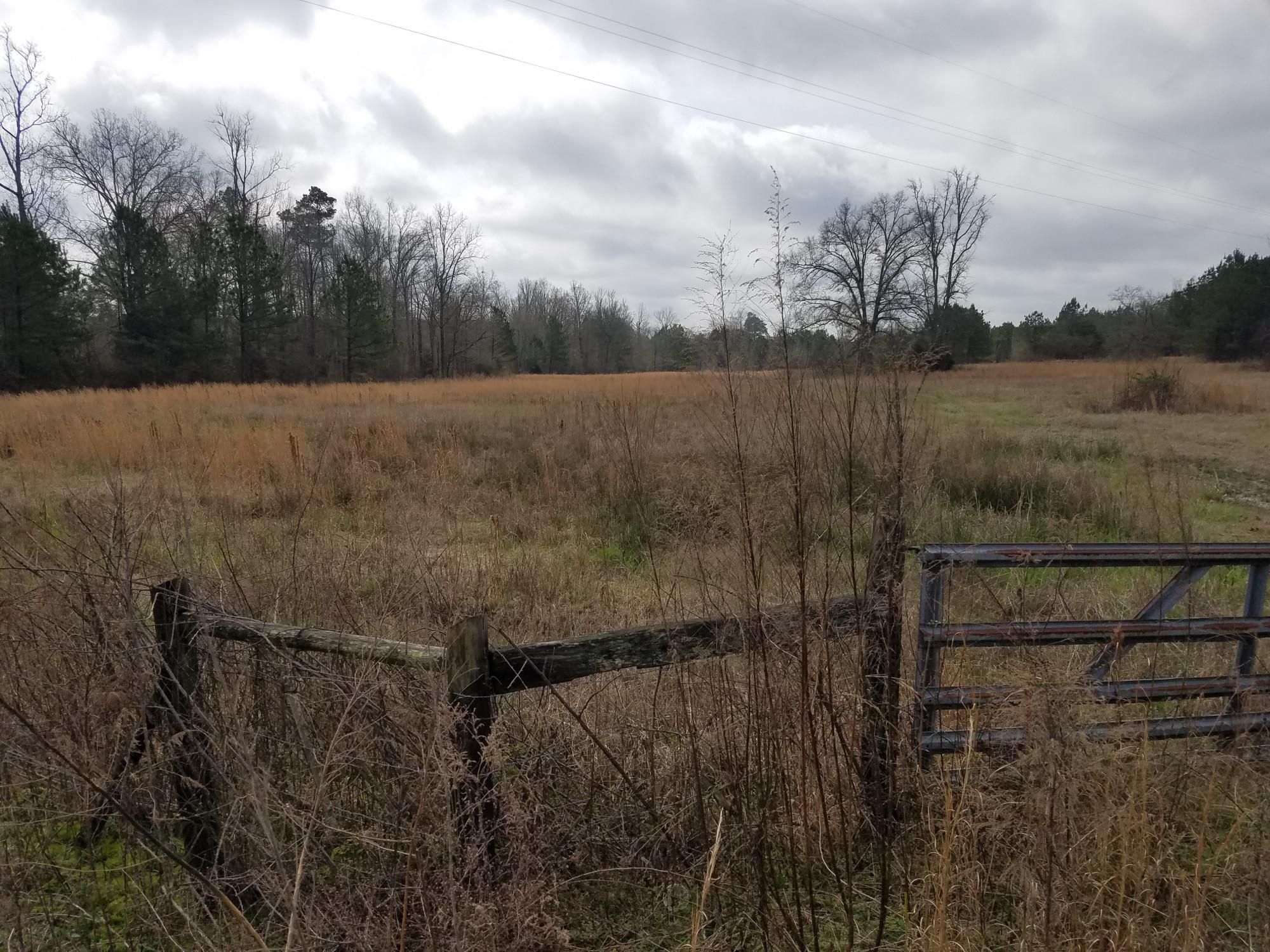 65 acres in Calhoun County, Alabama