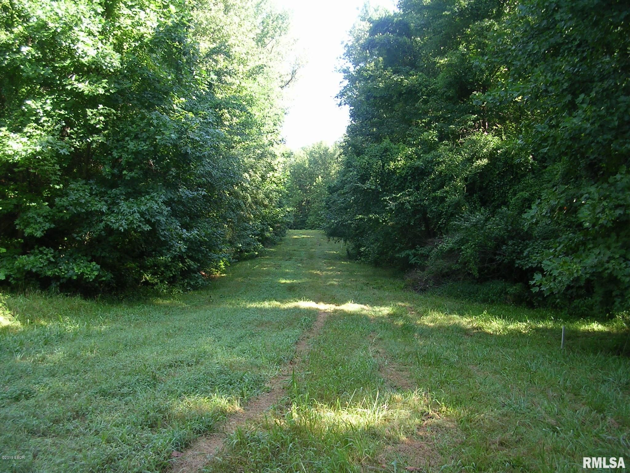 80 acres in Williamson County, Illinois