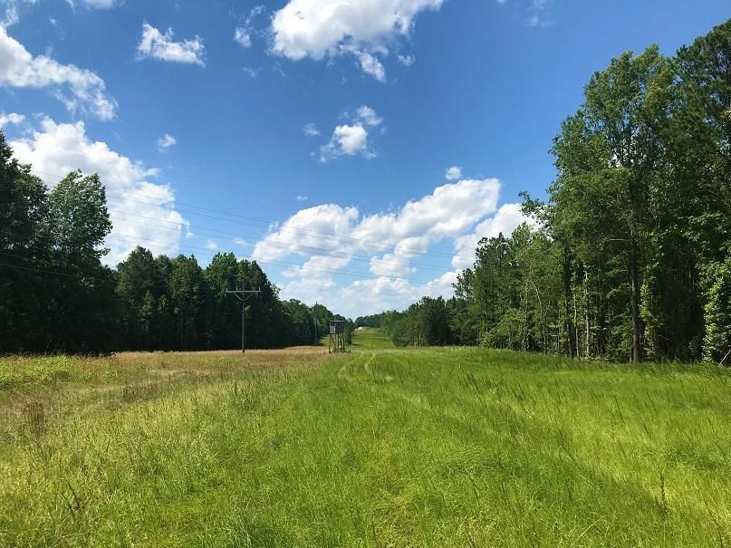 190 acres in Newberry County, South Carolina