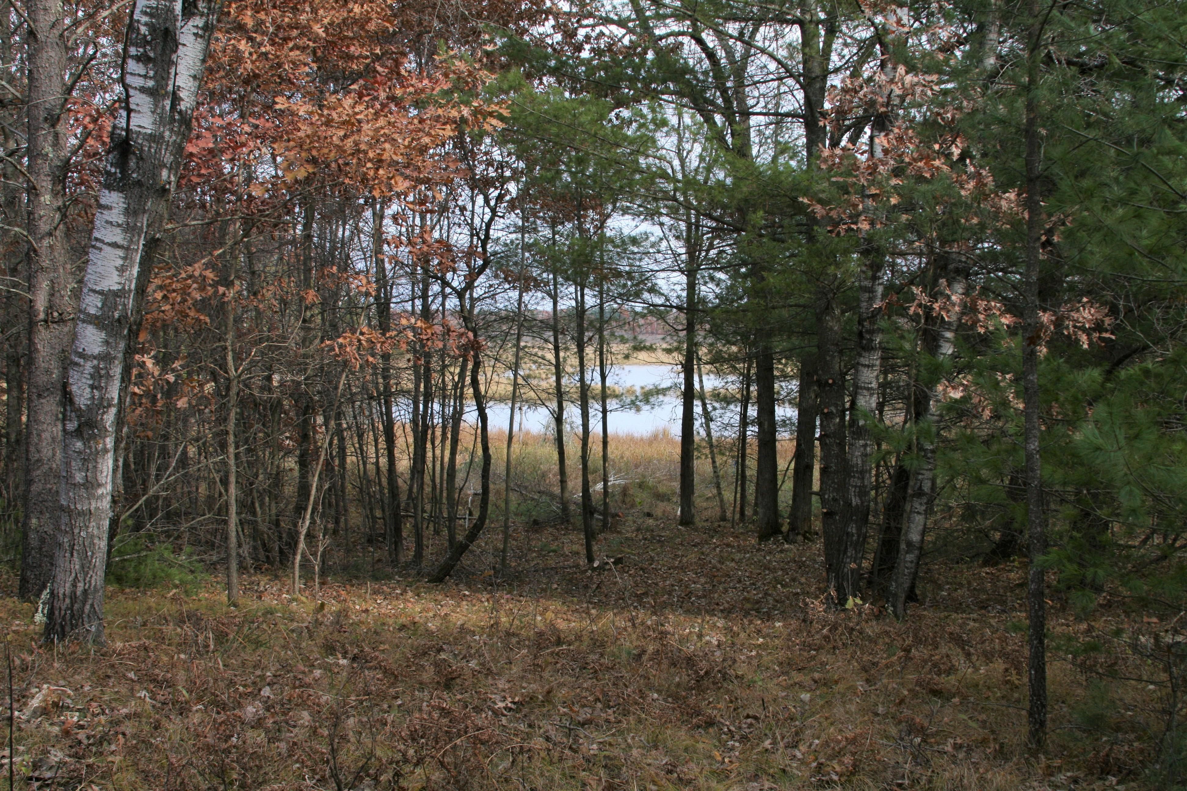 12 acres in County, Wisconsin