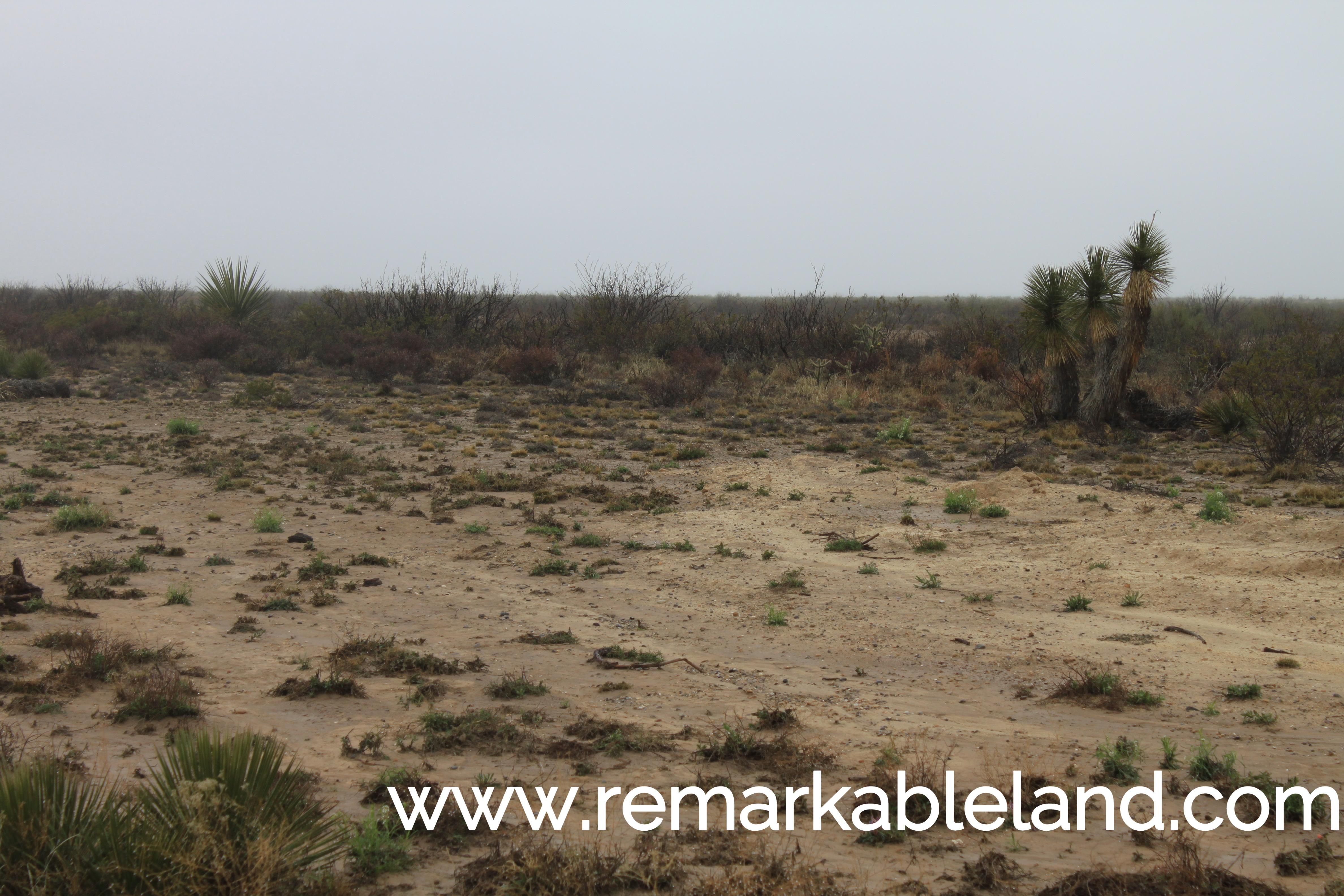 40 acres in Reeves County, Texas