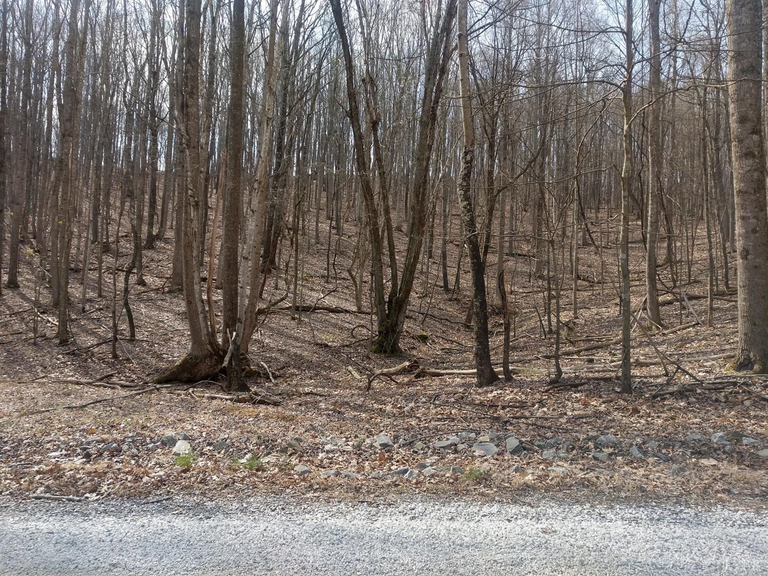 5 acres in Amherst County, Virginia