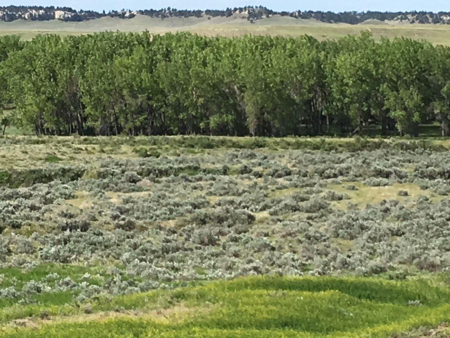 321.67 acres in Rosebud County, Montana