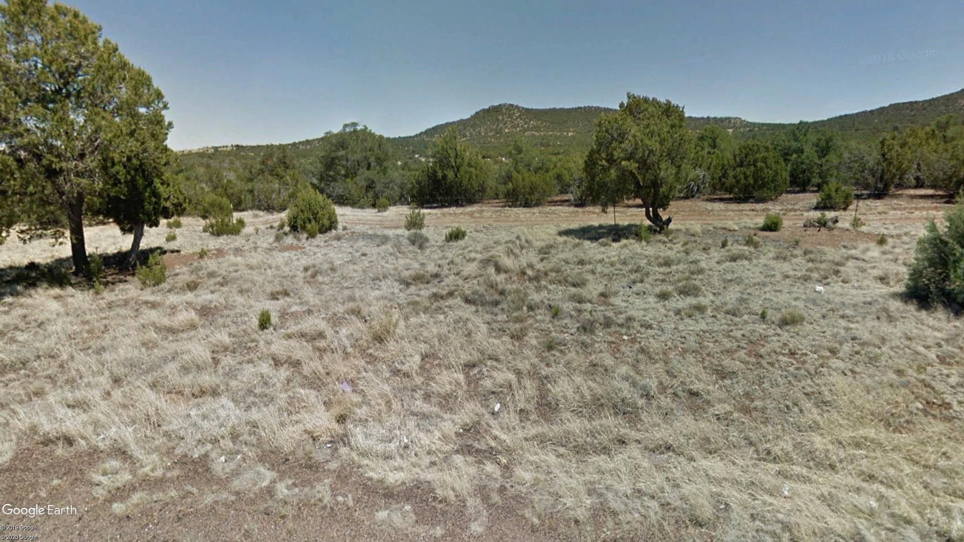 Jones Drive, Concho, AZ 85924