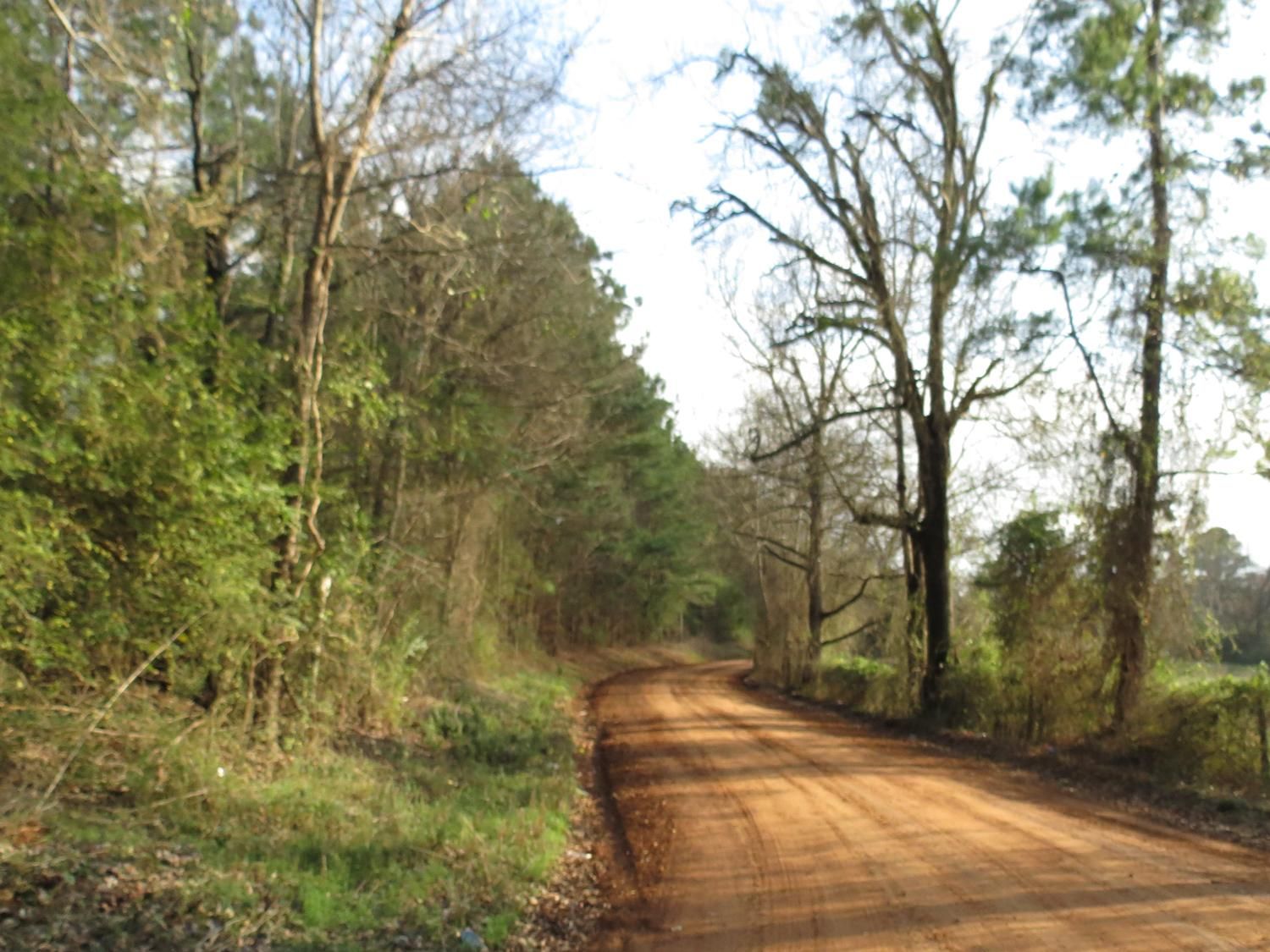 5.4 acres in Houston County, Texas