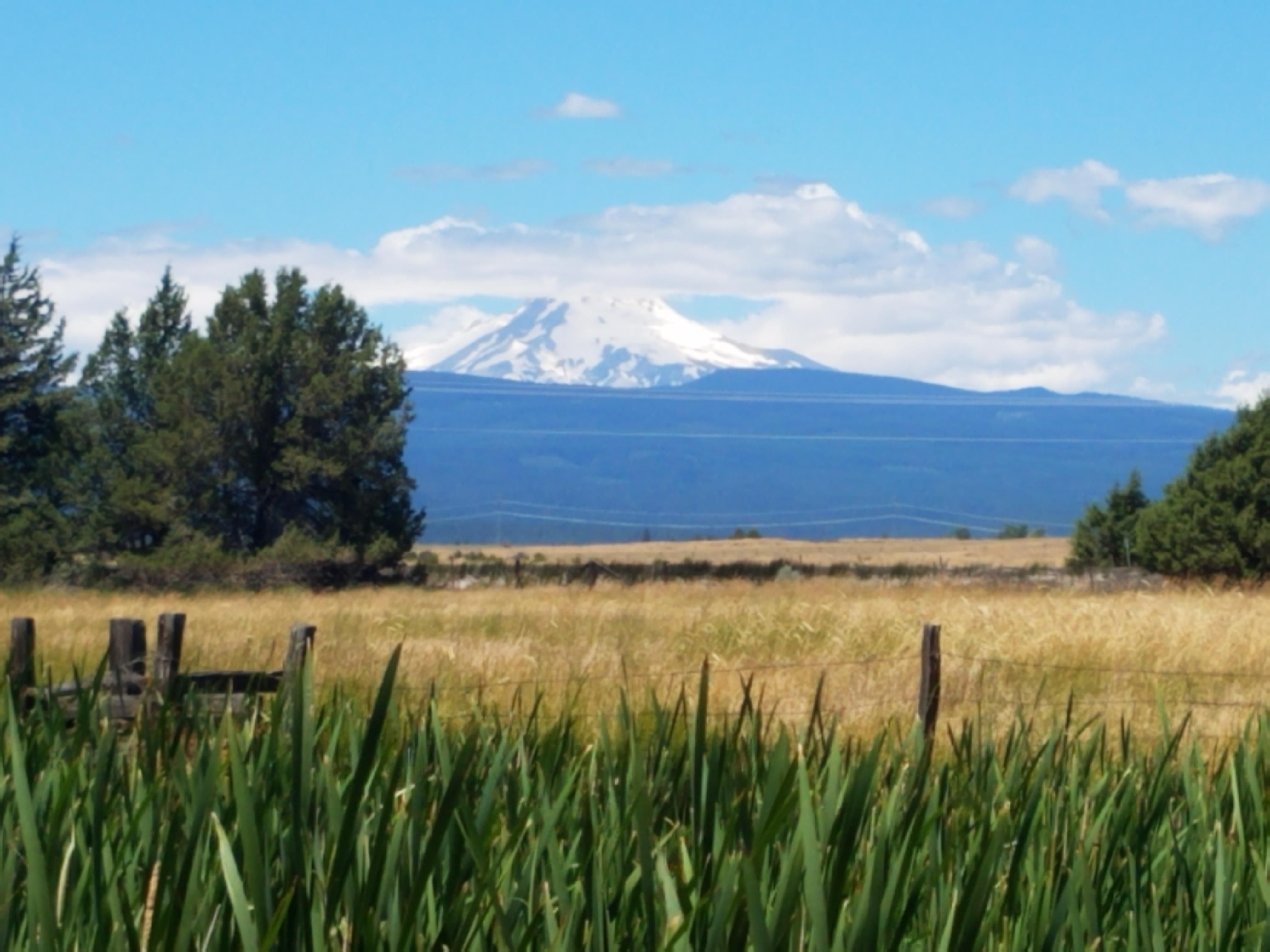 990 acres in Wasco County, Oregon