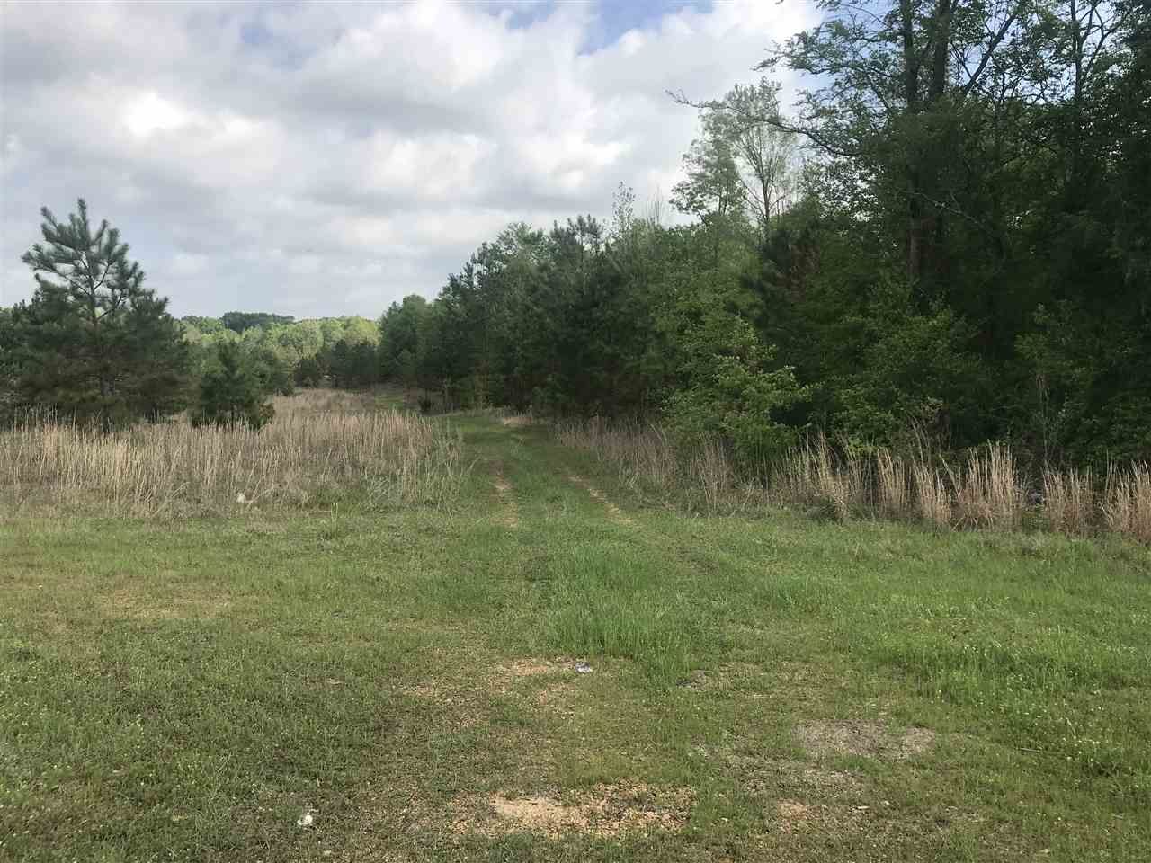32 acres in Copiah County, Mississippi