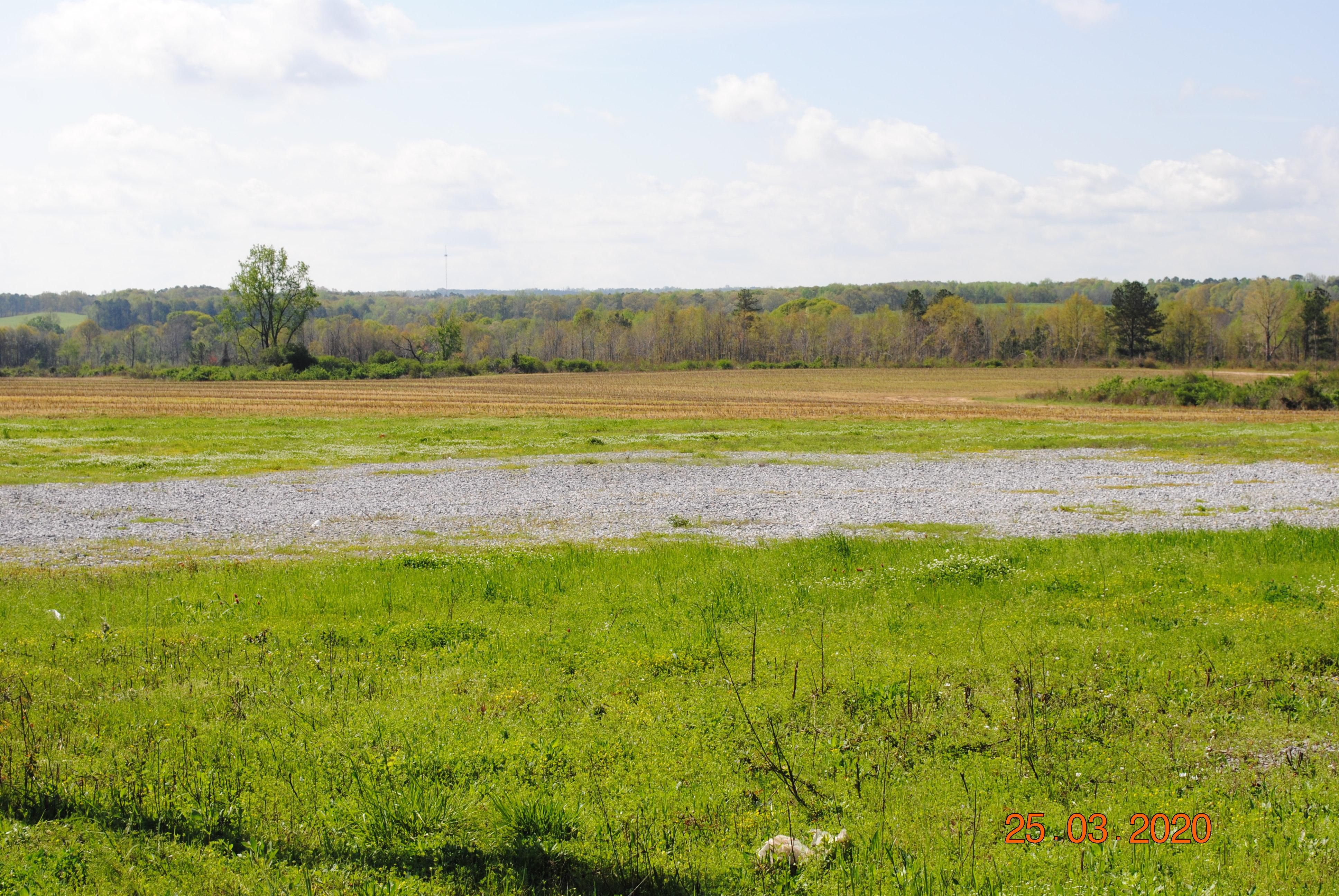 90 acres in Chilton County, Alabama