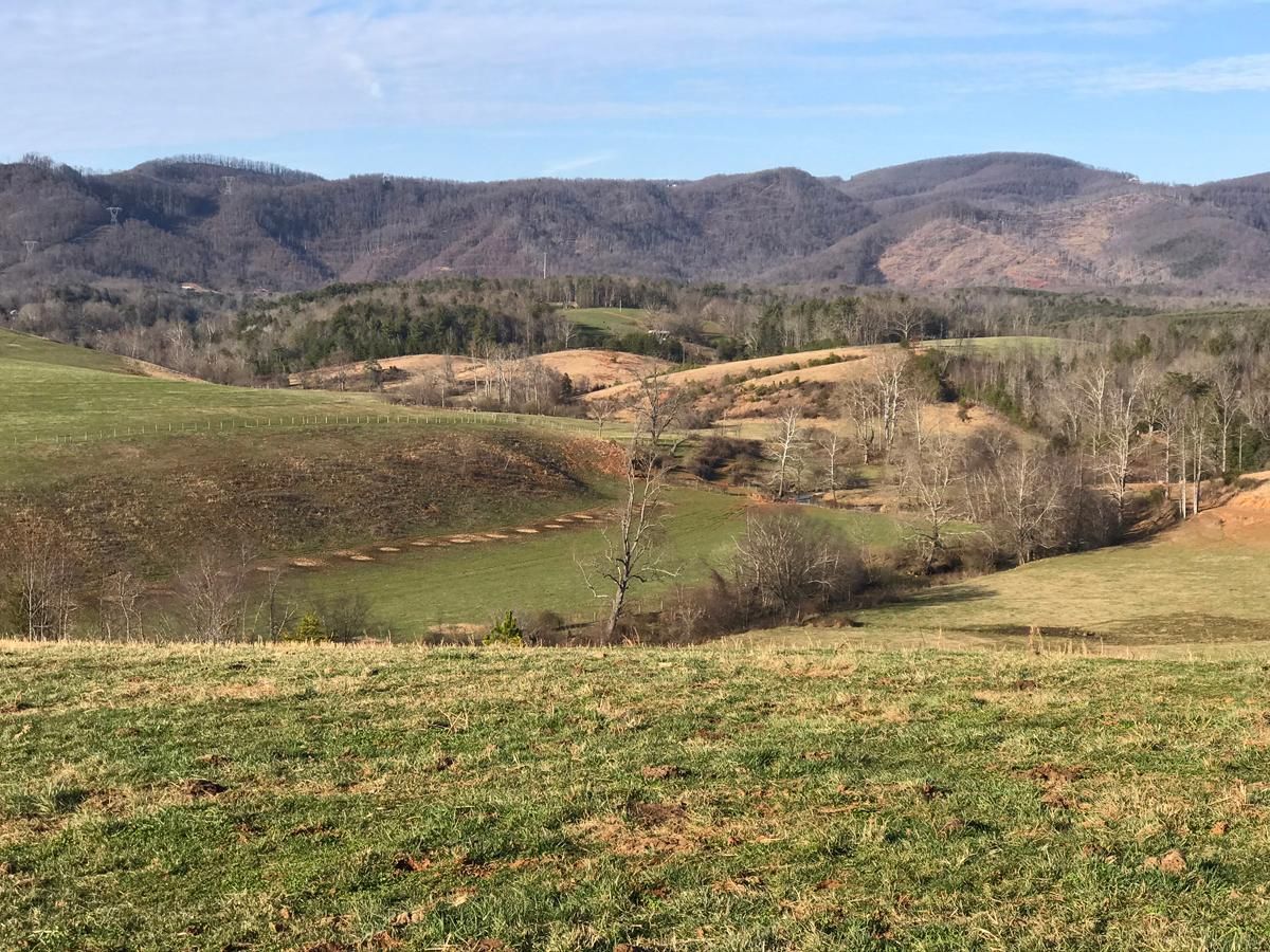 429.5 acres in Wilkes County, North Carolina