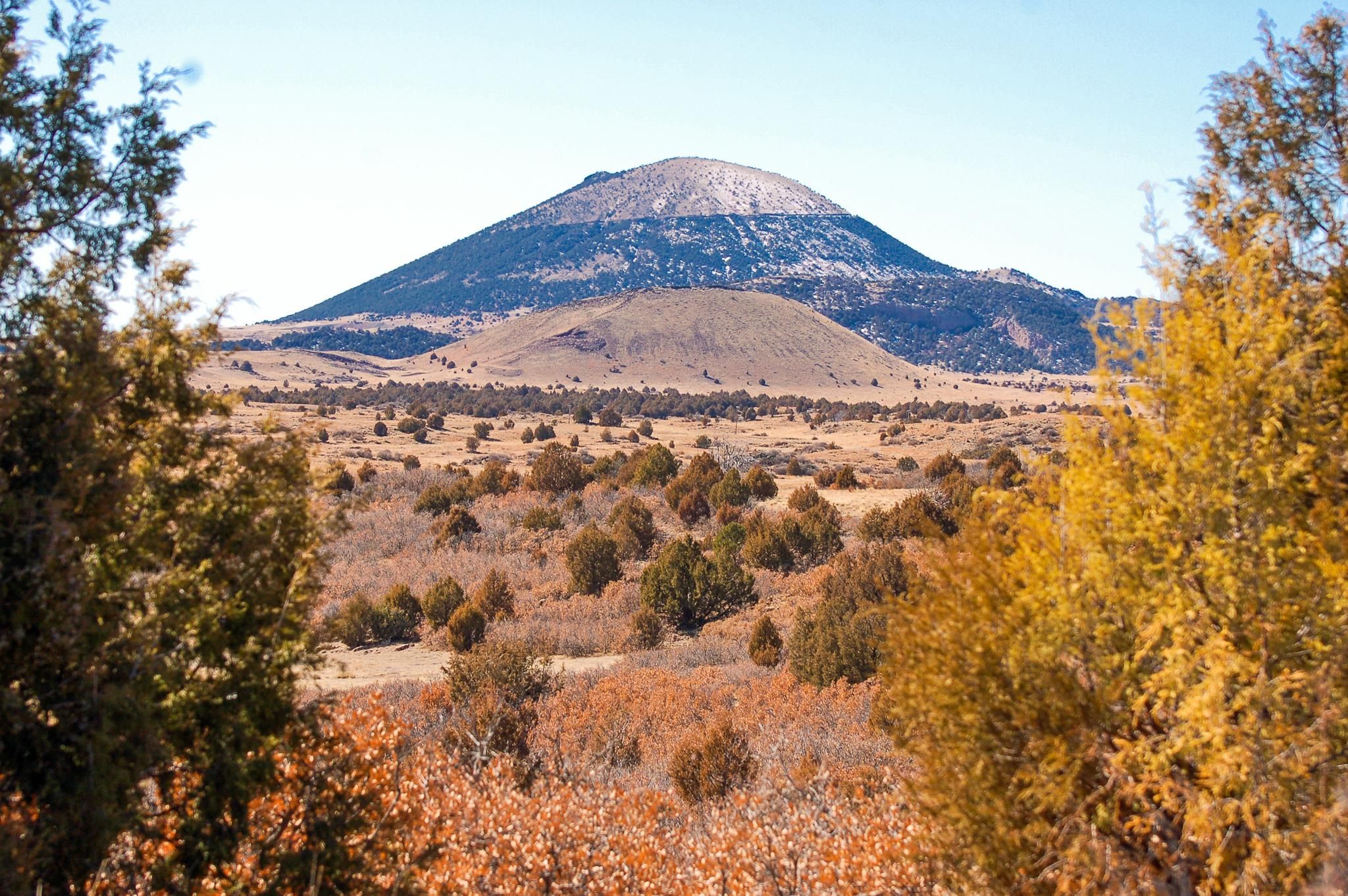 740 acres in Folsom, NM, 88419