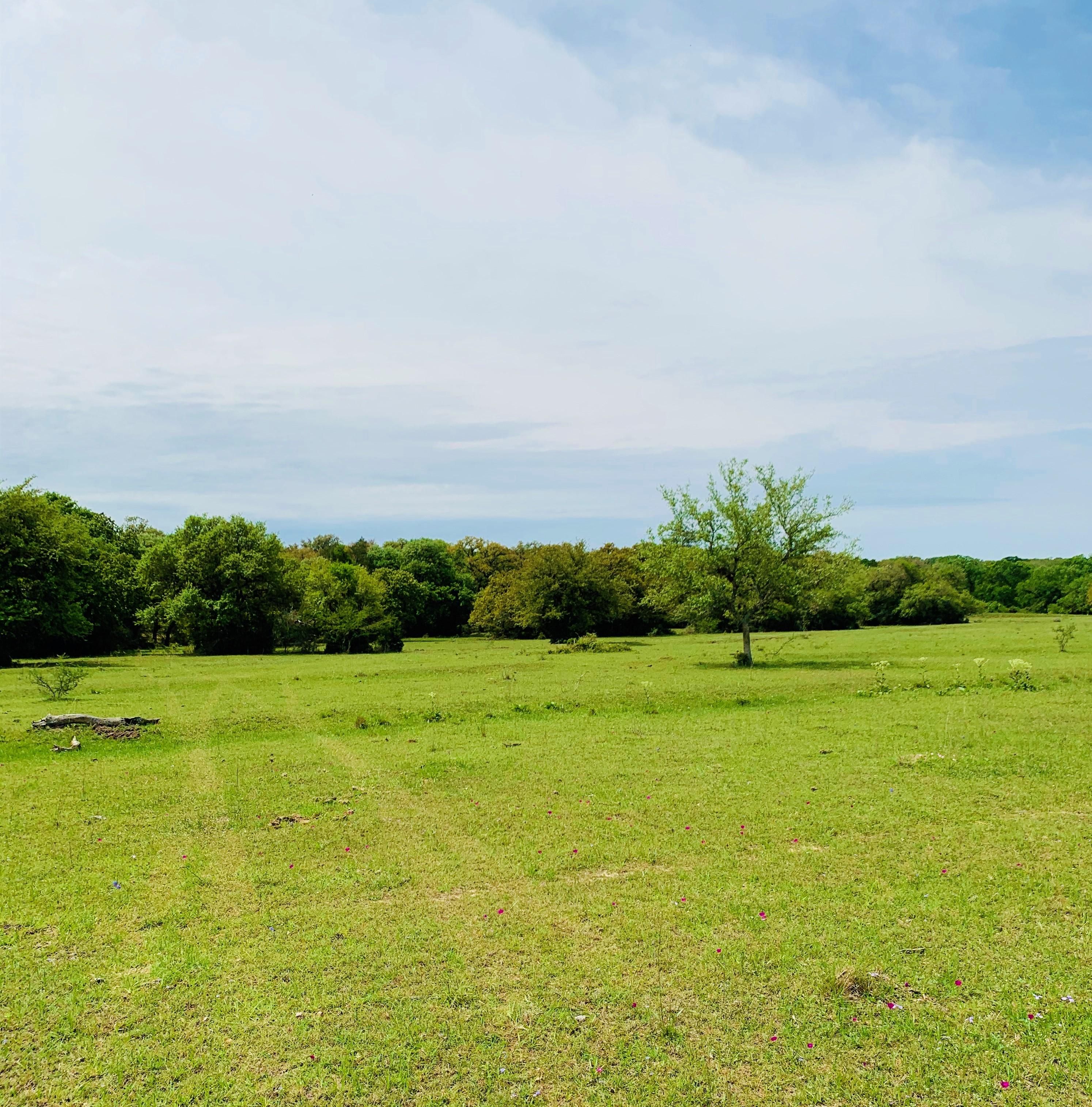 11 acres in Lavaca County, Texas
