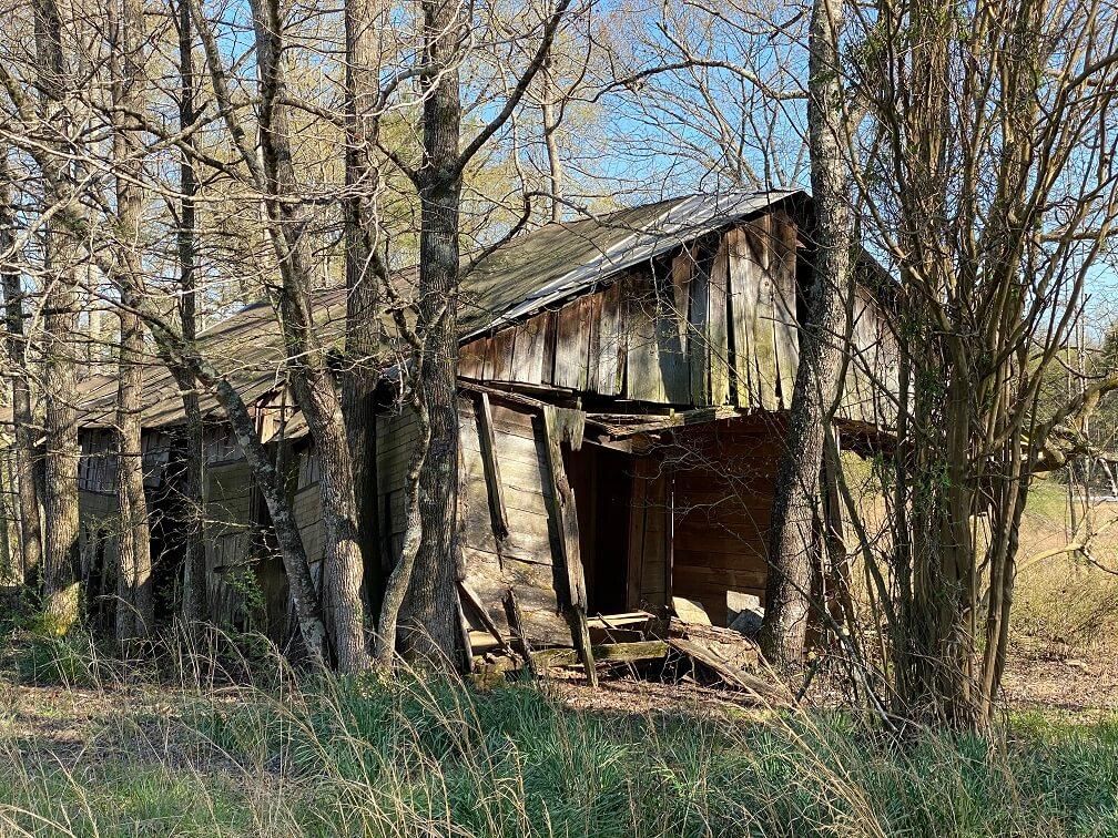 50 acres in Tishomingo County, Mississippi