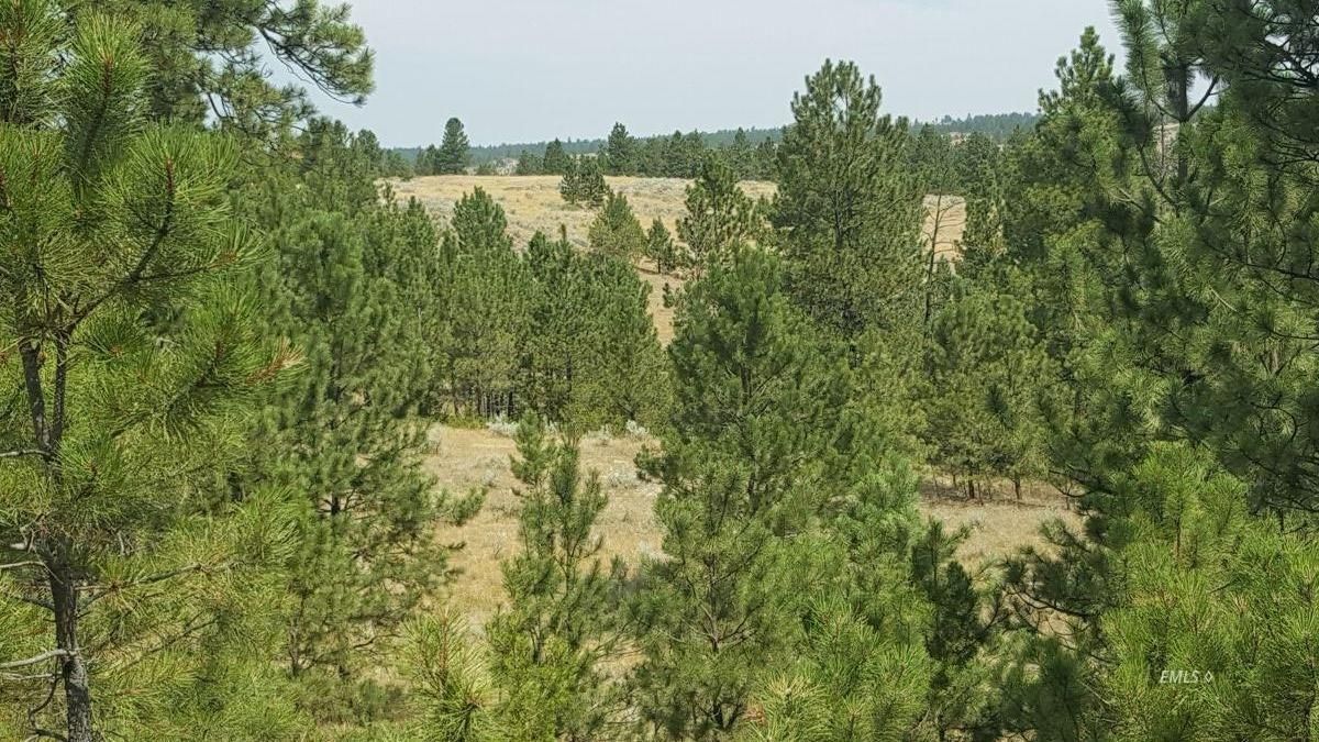 200 acres in Rosebud County, Montana