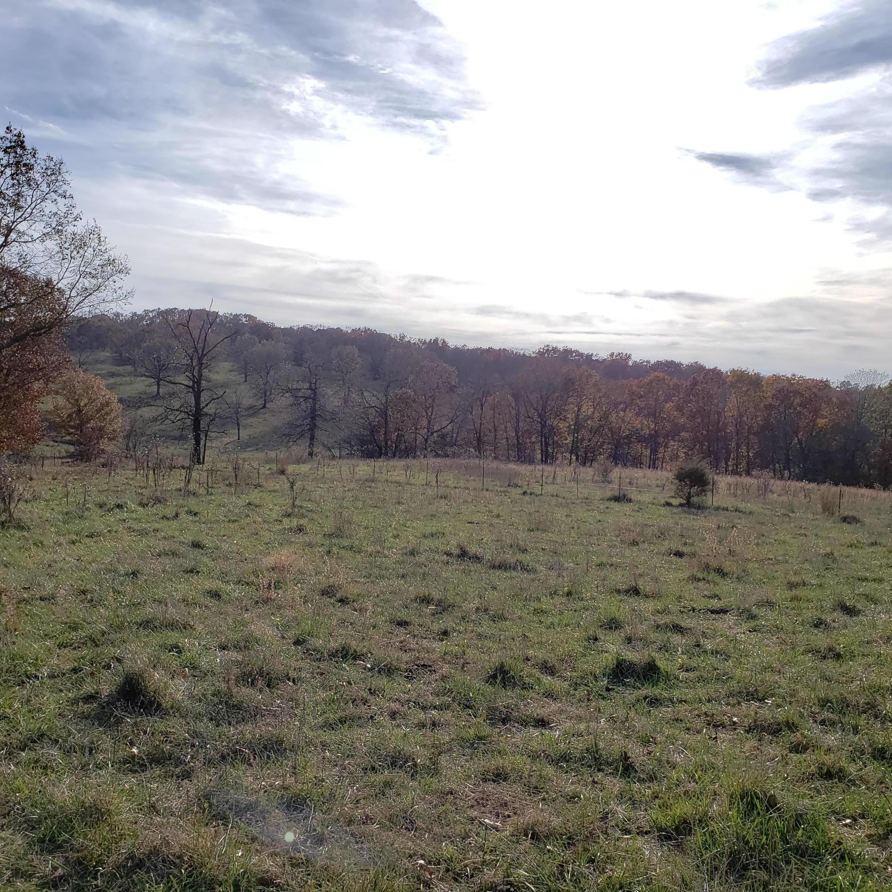 760 acres in Wright County, Missouri