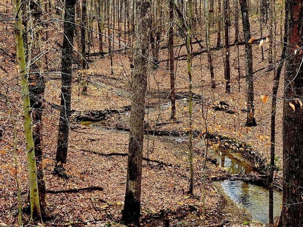 15 acres in Brown County, Indiana