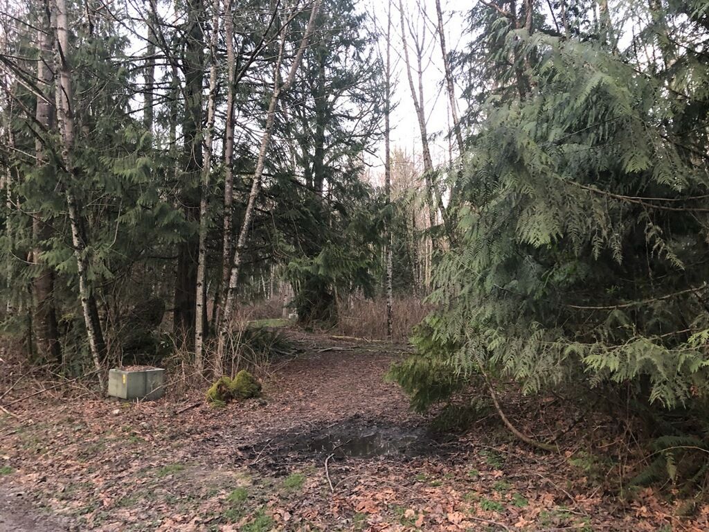 20 acres in Skagit County, Washington