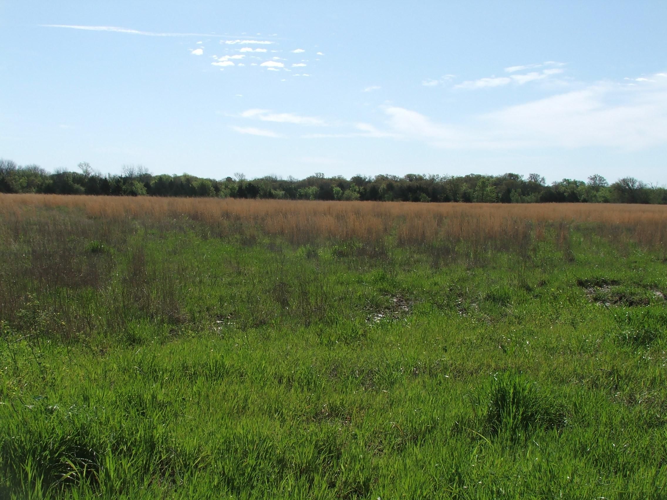 20 acres in Coal County, Oklahoma