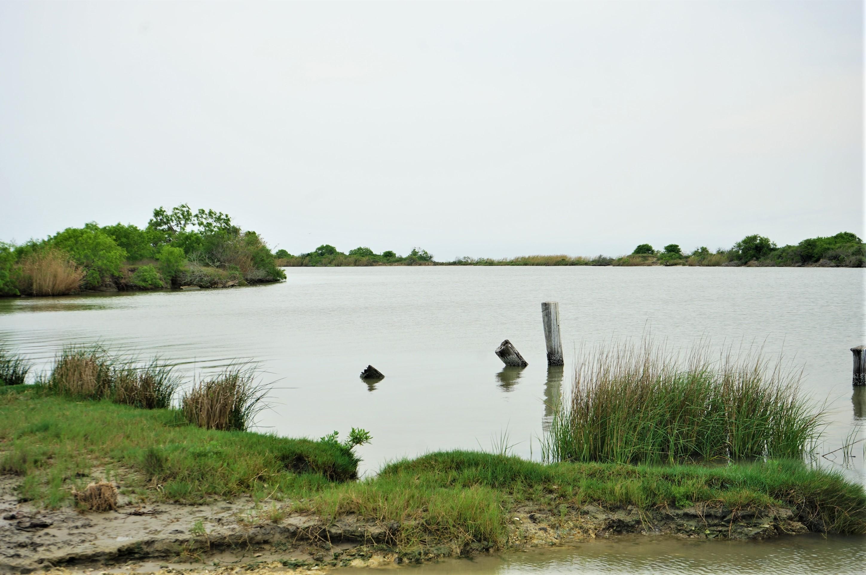 505 acres in Calhoun County, Texas