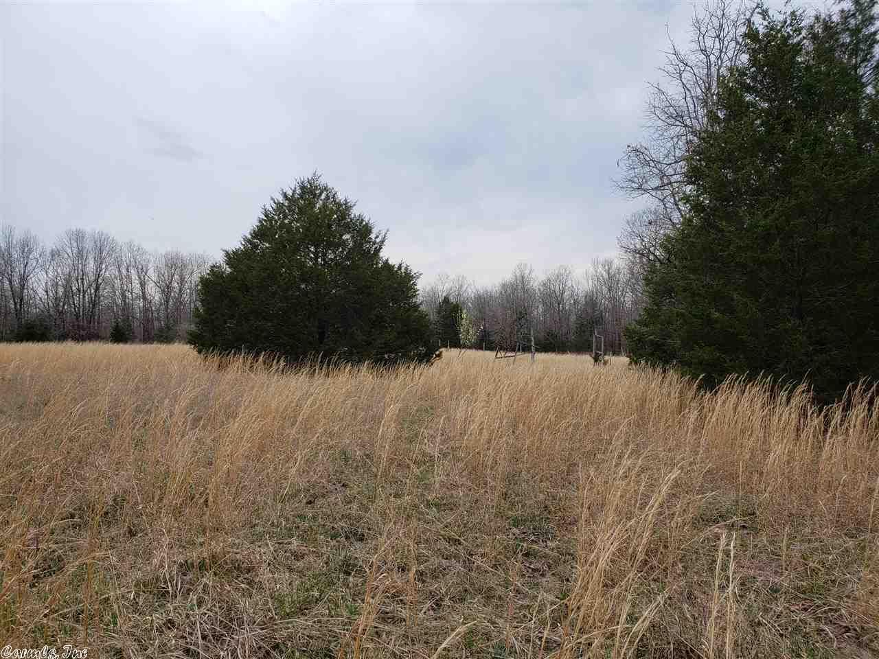 36 acres in Fulton County, Arkansas