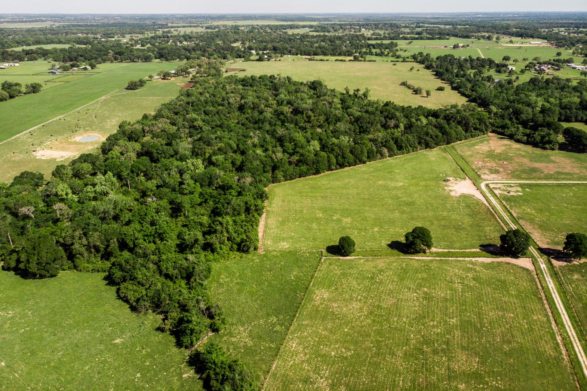 101 acres in Waller County, Texas