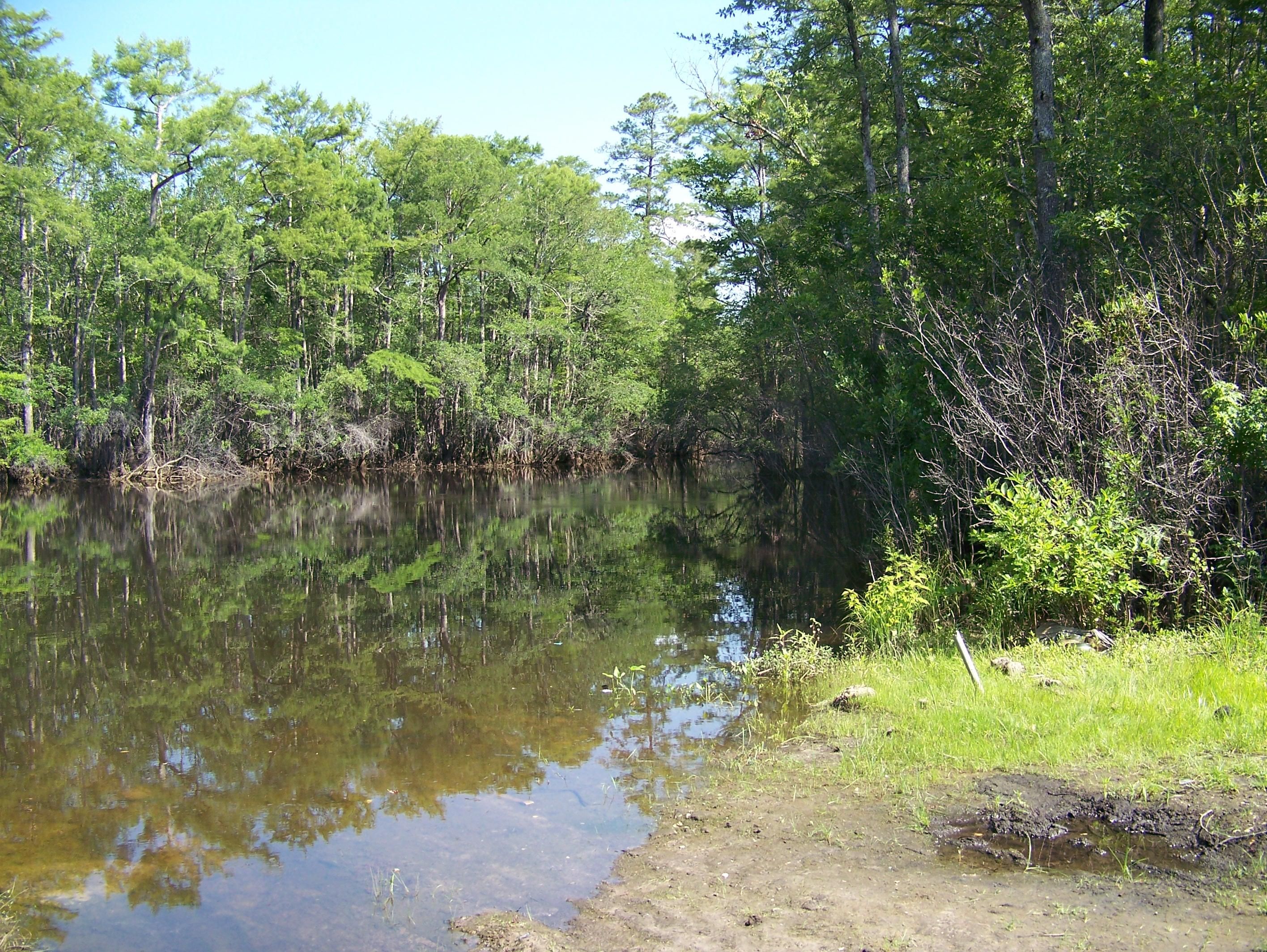 10 acres in Brunswick County, North Carolina