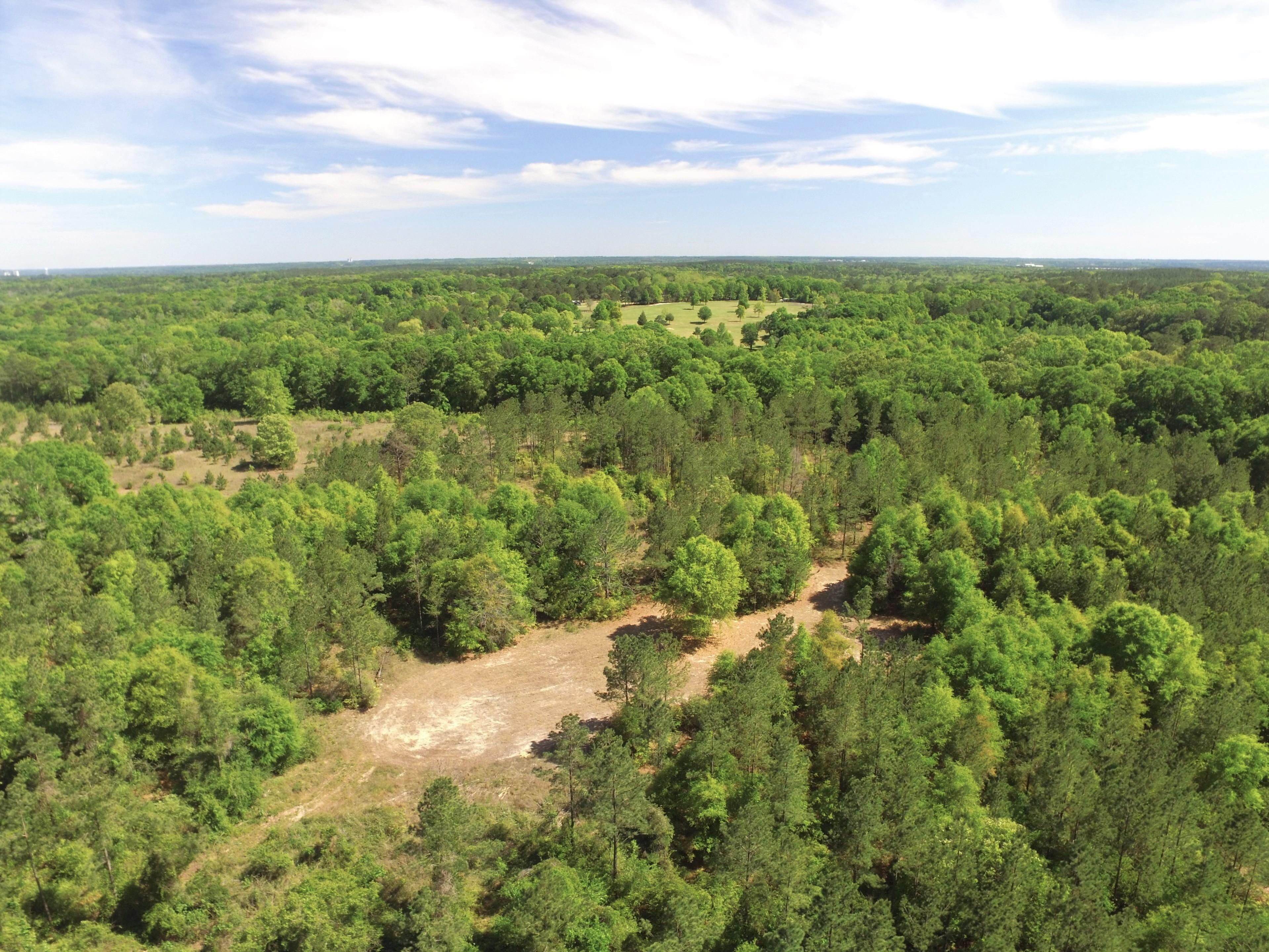 50 acres in Dale County, Alabama
