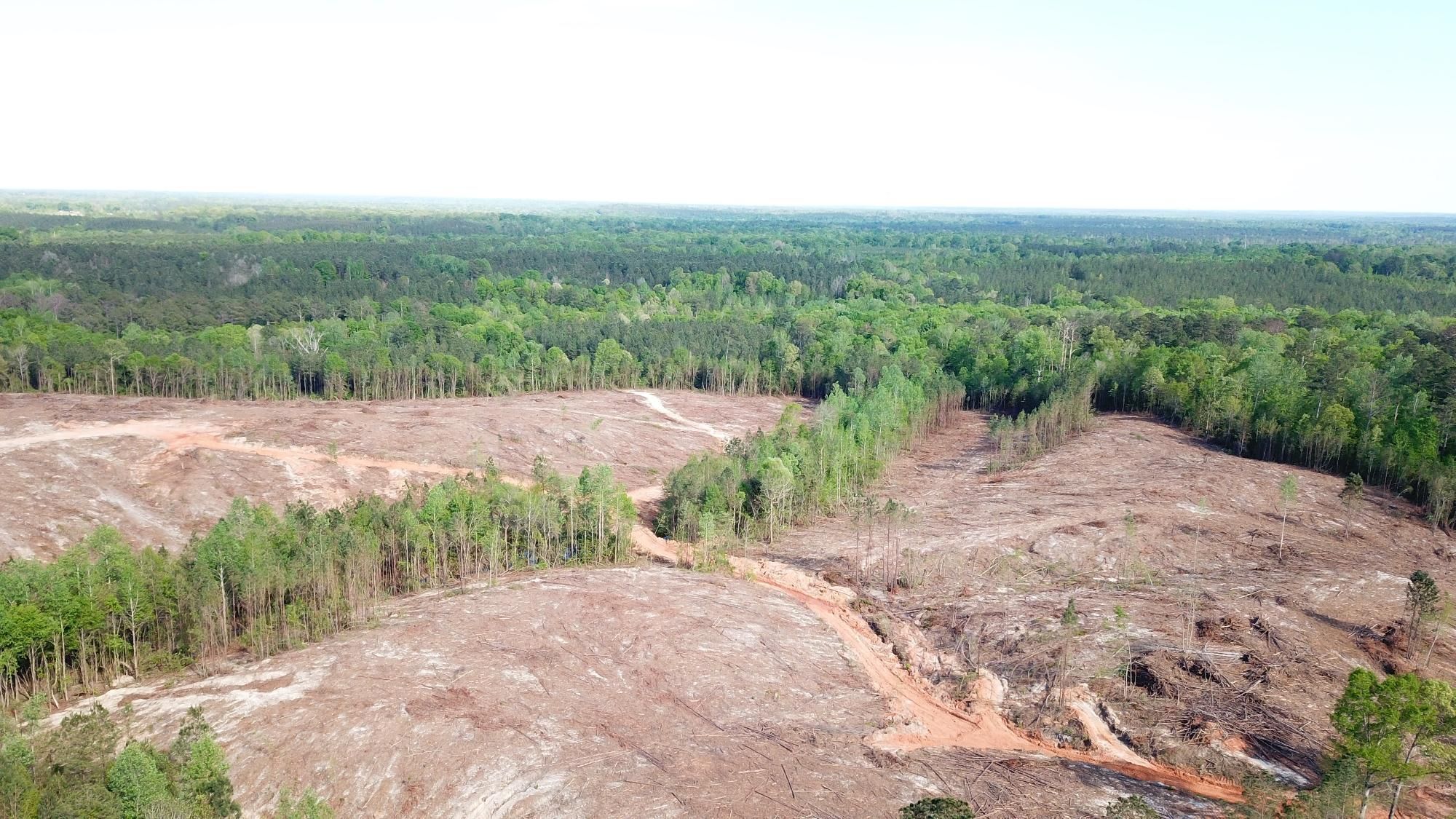 55 acres in Marengo County, Alabama