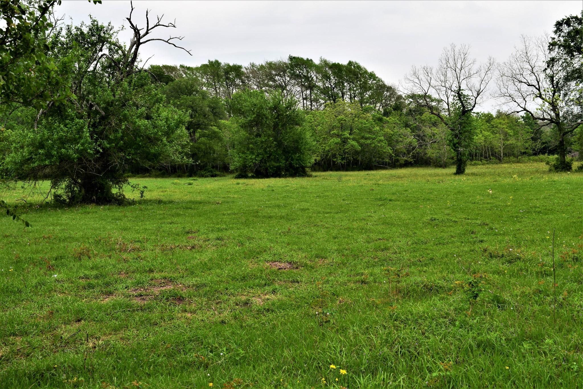 16.86 acres in Wharton County, Texas