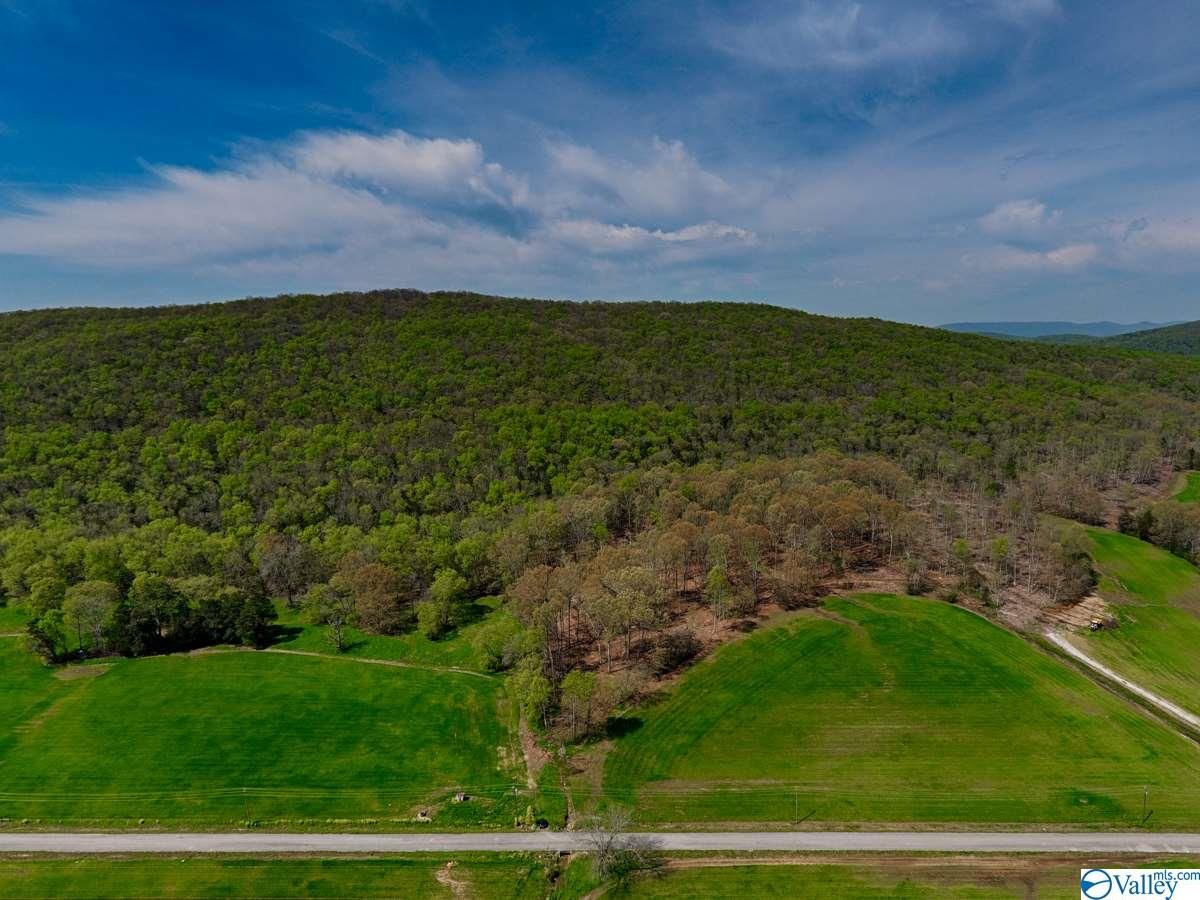 40 acres in Madison County, Alabama