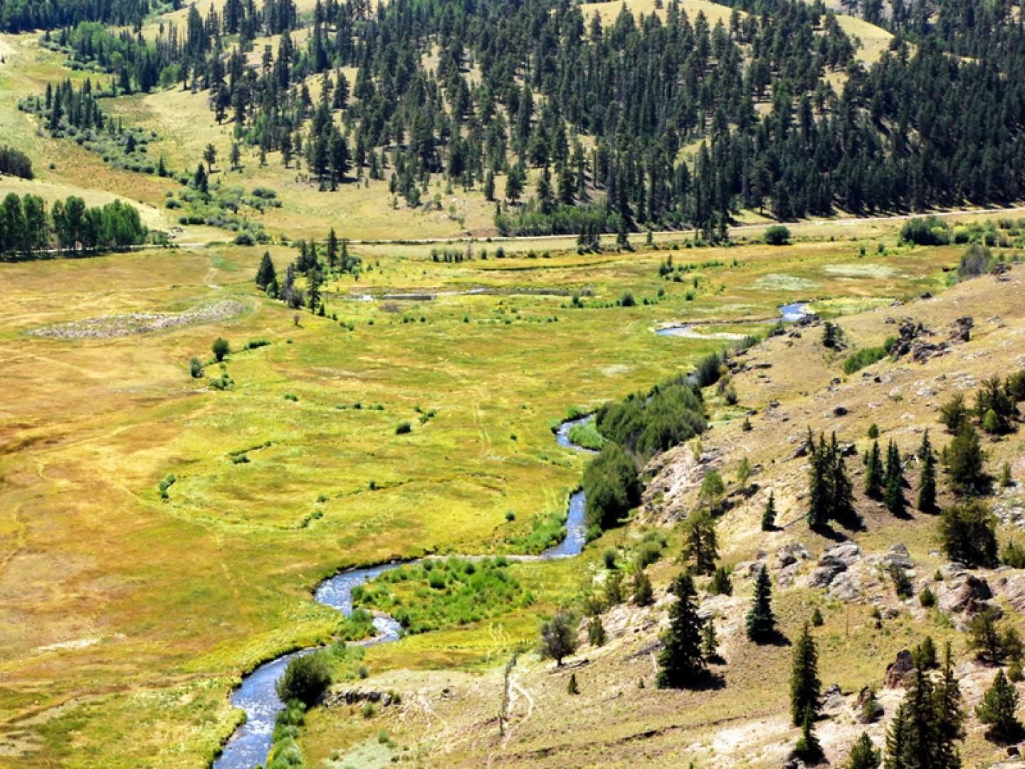 309 acres in Hinsdale County, Colorado