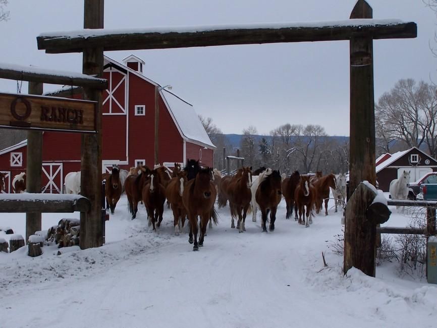 520 acres in Judith Basin County, Montana