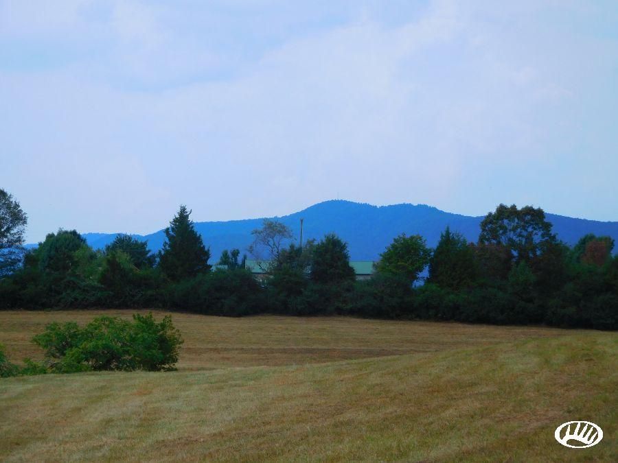 40 acres in Cleveland County, North Carolina
