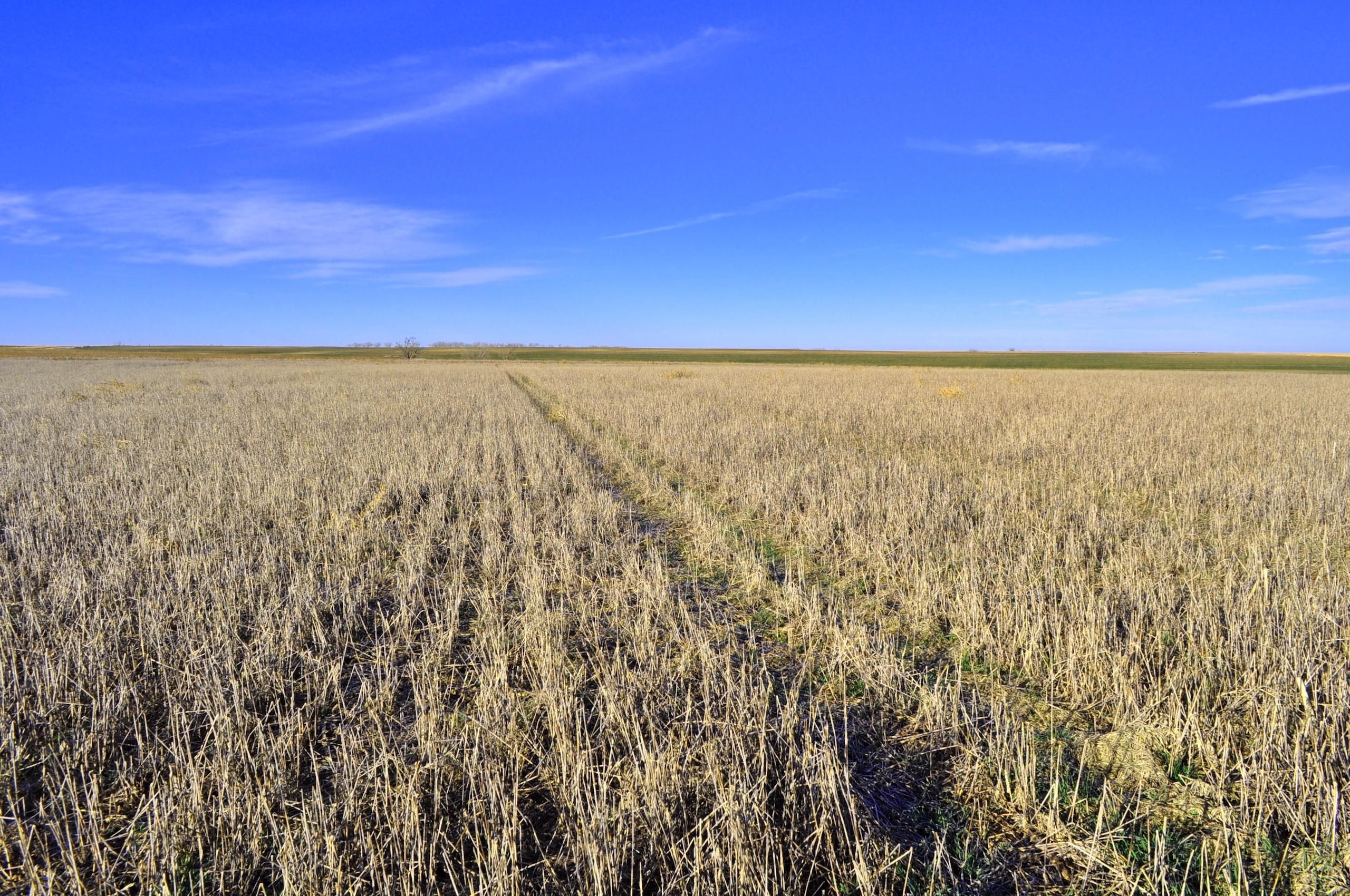 61 acres in Rooks County, Kansas