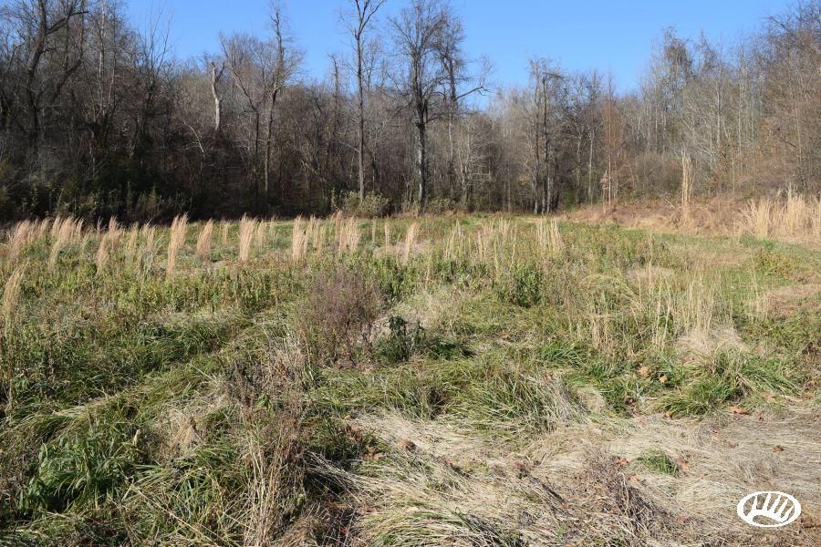 120 acres in Obion County, Tennessee