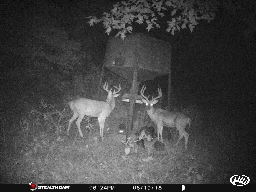 59 acres in Crittenden County, Kentucky