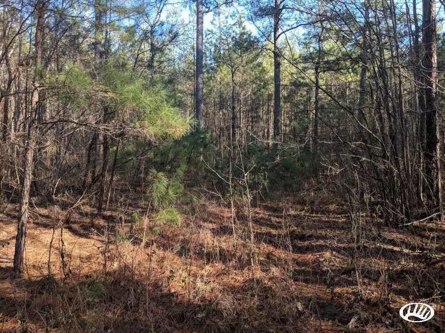 OdellArcola Road, LotWP01, Littleton, NC 27850