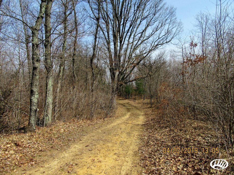 40 acres in Saginaw County, Michigan