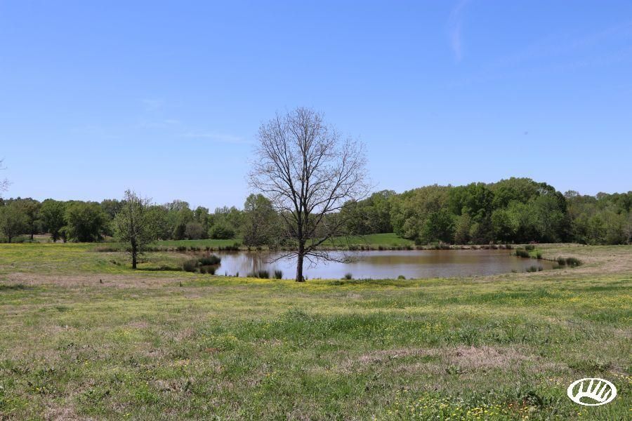 250 acres in Holmes County, Mississippi