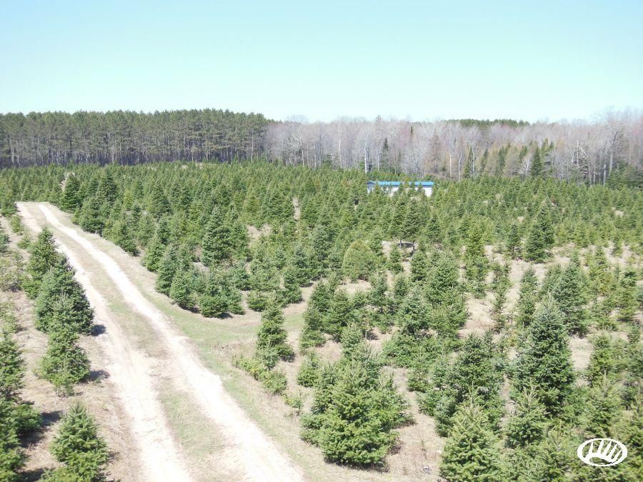 40 acres in Langlade County, Wisconsin