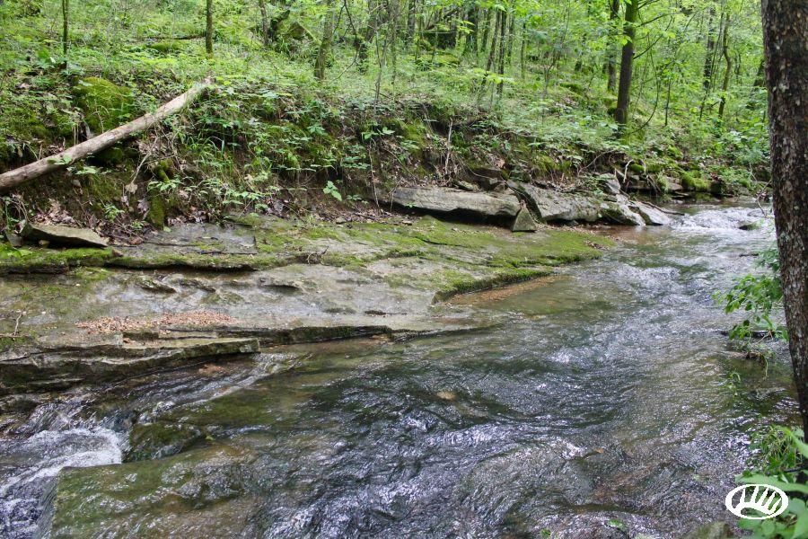 40 acres in Independence County, Arkansas