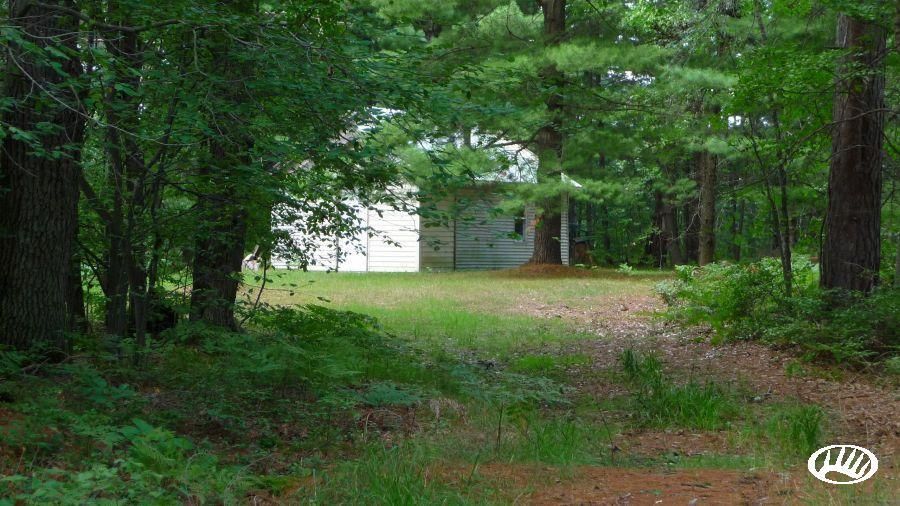 40 acres in Clare County, Michigan