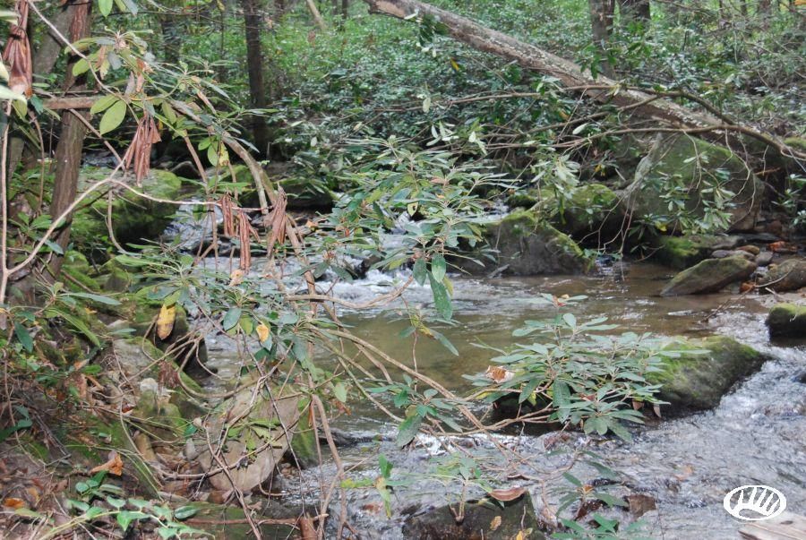 262 acres in Caldwell County, North Carolina