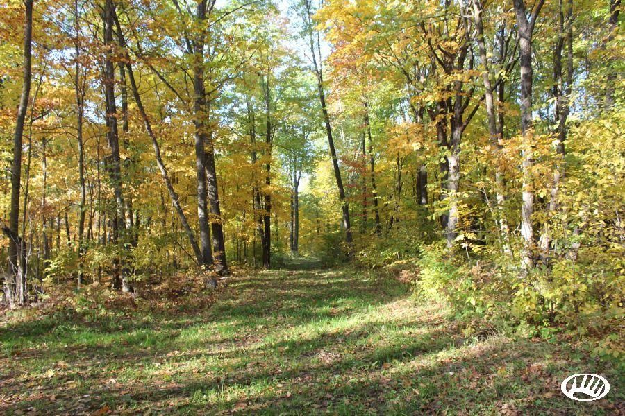 880 acres in Mille Lacs County, Minnesota