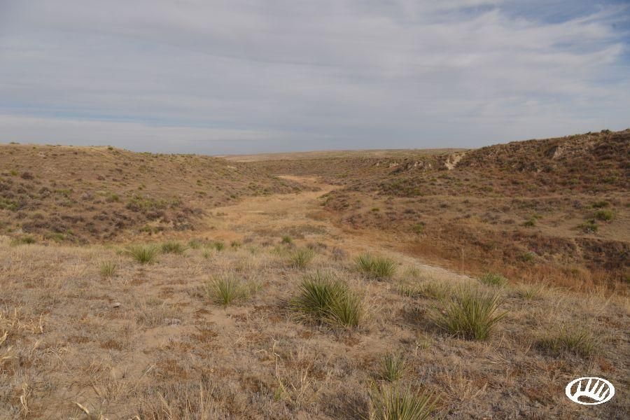 1,600 acres in Dundy County, Nebraska